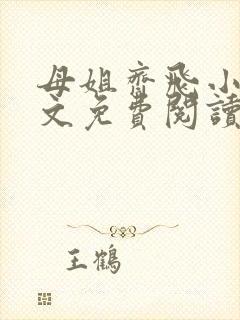 母姐齐飞小说全文免费阅读最新章节