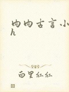 肉肉古言小说hh