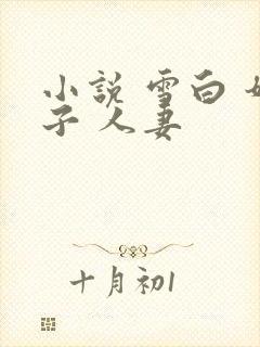 小说 雪白 奶子 人妻