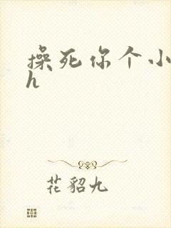 操死你个小骚货h