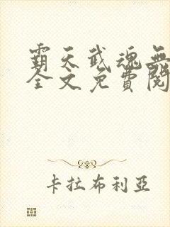 霸天武魂无弹窗全文免费阅读封面