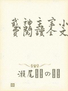 武神主宰小说免费阅读全文无弹窗