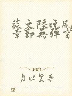 苏文陆晚风最新章节无弹窗笔趣阁