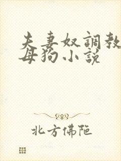 夫妻奴调教绿帽母狗小说