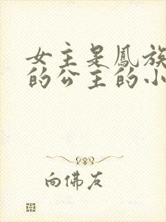 女主是凤族唯一的公主的小说封面