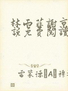 林雨菲谢京墨小说免费阅读笔趣阁封面