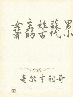 女主姓苏男主姓萧的古代小说封面