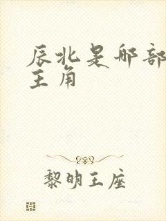 辰北是哪部小说主角