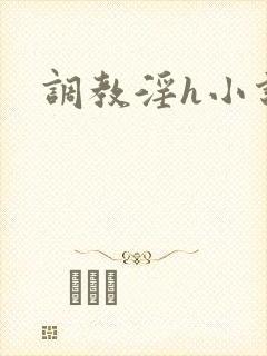 调教淫h小说封面