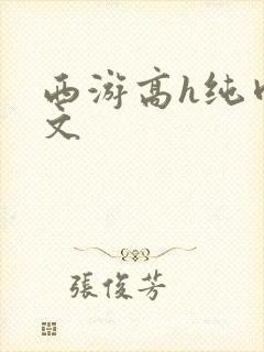 西游高h纯肉辣文封面