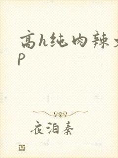 高h纯肉辣文np封面