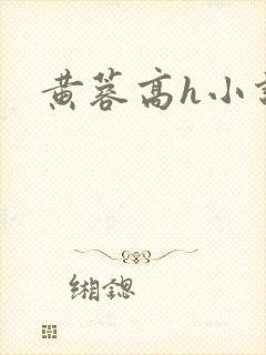 黄蓉高h小说