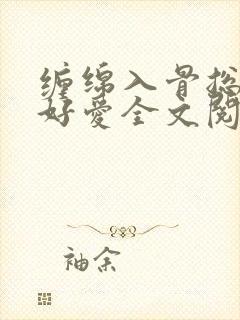 缠绵入骨总裁好好爱全文阅读免费封面