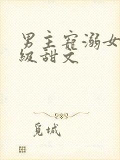 男主宠溺女主超级甜文