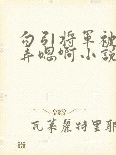 勾引将军被狠狠弄嗯啊小说h