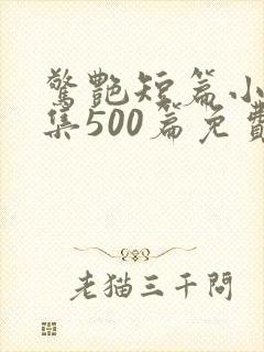 惊艳短篇小说合集500篇免费阅读