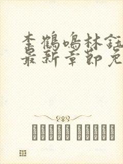 李鹤鸣林钰小说最新章节免费阅读