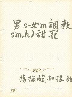 男s女m调教(sm,h)甜宠