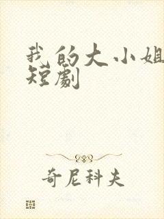 我的大小姐老婆短剧封面