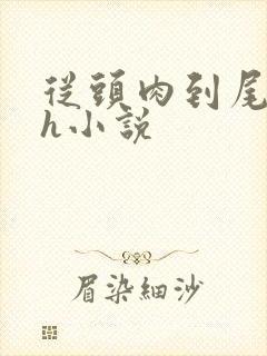 从头肉到尾的高h小说