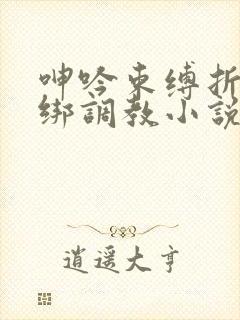 呻吟束缚折磨捆绑调教小说封面