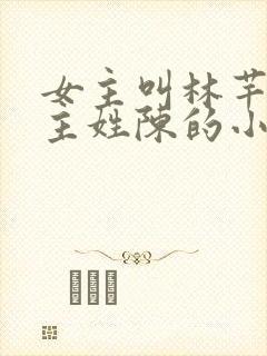 女主叫林芊芊男主姓陈的小说封面