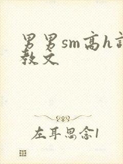 男男sm高h调教文