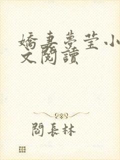 娇妻梦莹小说全文阅读