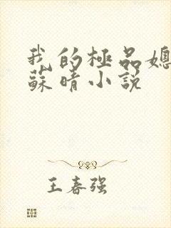 我的极品媳妇儿苏晴小说封面