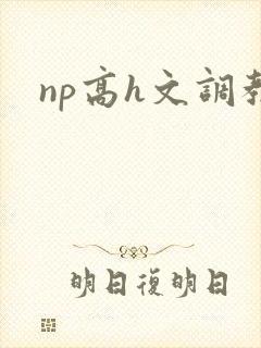 np高h文调教