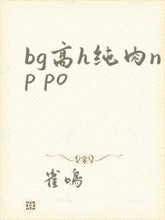 bg高h纯肉np po