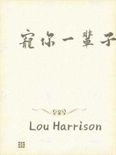 宠你一辈子封面