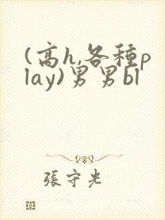 (高h,各种play)男男bl封面