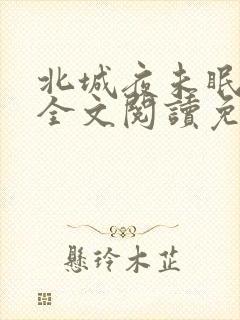 北城夜未眠小说全文阅读免费
