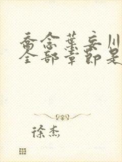 乔念叶妄川小说全部章节是多少节