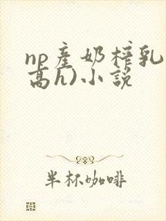 np产奶榨乳(高h)小说