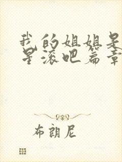 我的姐姐是大明星滚吧篇章一