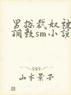 男总裁奴被绳绑调教sm小说封面