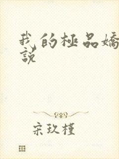 我的极品娇妻小说