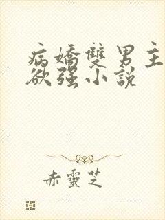 病娇双男主占有欲强小说