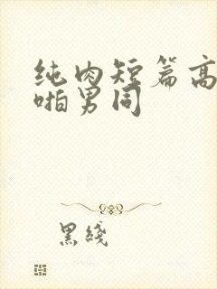 纯肉短篇高h啪啪男同