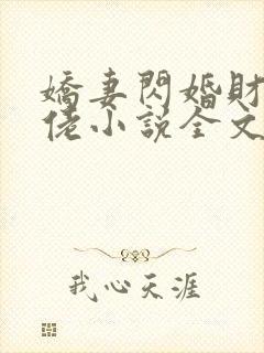 娇妻闪婚财阀大佬小说全文阅读