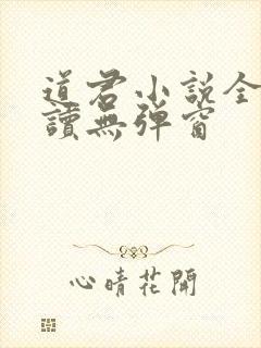 道君小说全文阅读无弹窗封面