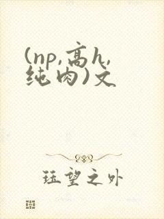 (np,高h,纯肉)文