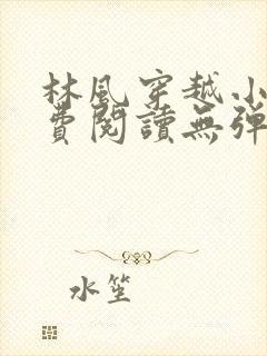 林风穿越小说免费阅读无弹窗