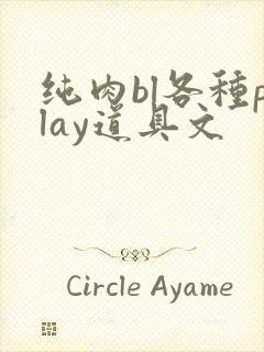 纯肉bl各种play道具文封面