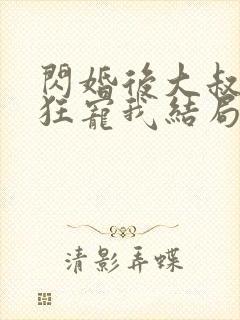 闪婚后大叔每天狂宠我结局封面