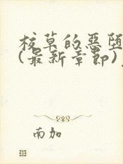 校草的恶堕之路(最新章节)免费阅读