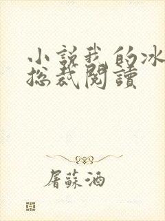 小说我的冰山女总裁阅读封面