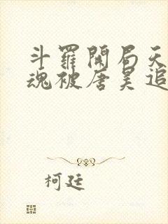 斗罗开局天使武魂被唐昊追杀下载